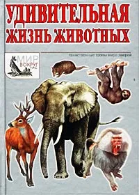Обложка книги Удивительная жизнь животных, И. Я. Павлинов