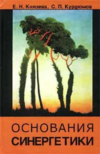 Обложка книги Основания синергетики. Режимы с обострением, самоорганизация, темпомиры, Е. Н. Князева, С. П. Курдюмов