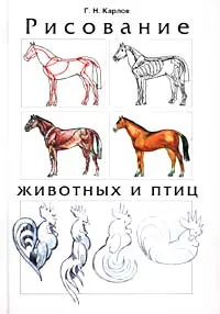 Обложка книги Рисование животных и птиц, Карлов Георгий Николаевич