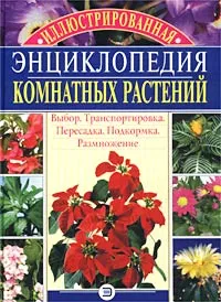 Обложка книги Иллюстрированная энциклопедия комнатных растений, Борисова Алла Вячеславовна, Бердникова Ольга Витальевна