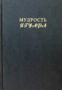 Обложка книги Мудрость Ягуара. Календарная магия майя, Кеннет Джонсон