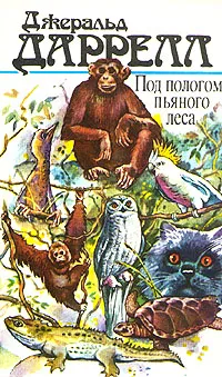 Обложка книги Под пологом пьяного леса, Джеральд Даррелл