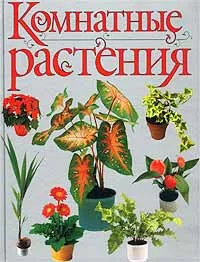 Обложка книги Комнатные растения, Л. А. Бурлуцкая