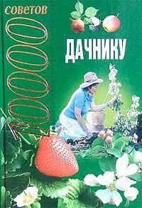 Обложка книги 10000 советов дачнику, Наталья Баранова,Лариса Конева,Ольга Насекайло,Людмила Шайденкова