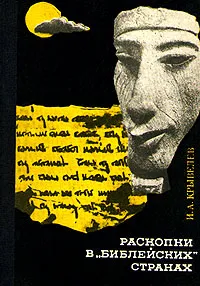 Обложка книги Раскопки в 