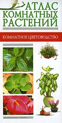 Обложка книги Атлас комнатных растений, А. Ю. Лимаренко, Т. В. Палеева