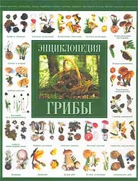 Обложка книги Грибы. Энциклопедия, Жерар Уду