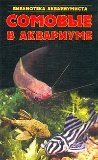 Обложка книги Сомовые в аквариуме, С. М. Кочетов