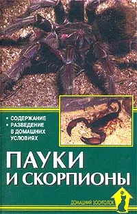 Обложка книги Пауки и скорпионы, А. Е. Чегодаев