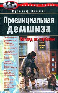 Обложка книги Провинциальная демшиза. Взгляд из глубинки, Лившиц Рудольф Львович