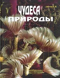 Обложка книги Чудеса природы, Г. В. Дятлева