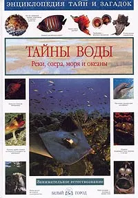 Обложка книги Тайны воды. Реки, озера, моря и океаны, Виктор Калашников