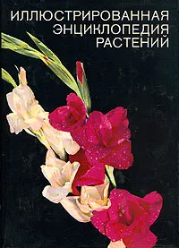 Обложка книги Иллюстрированная энциклопедия растений, Ф. А. Новак