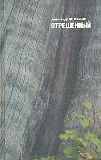 Обложка книги Отрешенный, Александр Потемкин