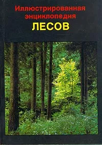 Обложка книги Иллюстрированная энциклопедия лесов, Ян Еник