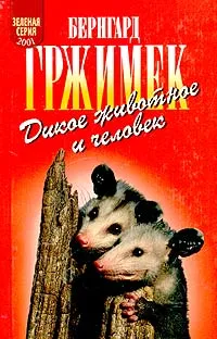 Обложка книги Дикое животное и человек, Бернгард Гржимек