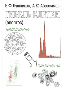 Обложка книги Гибель клетки (апоптоз), Е. Ф. Лушников, А. Ю. Абросимов, В. Л. Габай, А. С. Саенко, А. Е. Доросевич