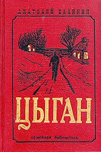 Обложка книги Цыган, Анатолий Калинин