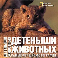 Обложка книги National Geographic. Детеныши животных. Самые лучшие фотографии, Анджела Серена Ильдос