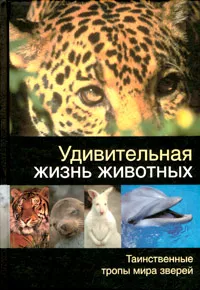 Обложка книги Удивительная жизнь животных, И. Я. Павлинов