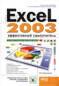 Обложка книги Excel 2003. Эффективный самоучитель, В. В. Серогодский