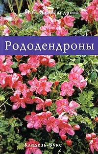 Обложка книги Рододендроны, М. С. Александрова