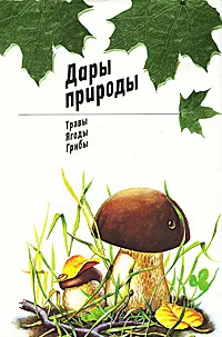 Обложка книги Дары природы. Трава, ягоды, грибы, В. А. Солоухин, Л. В. Гарибова, А. Д. Турова