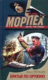 Обложка книги Братья по оружию, Иван Стрельцов