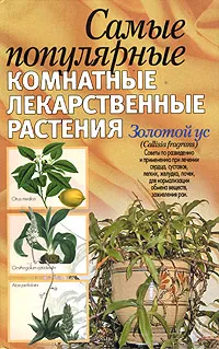 Обложка книги Самые популярные комнатные лекарственные растения, Н. В. Белов