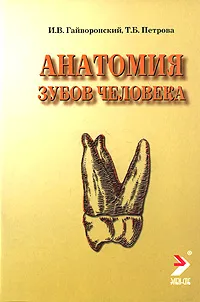 Обложка книги Анатомия зубов человека, И. В. Гайворонский, Т. Б. Петрова