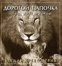 Обложка книги Дорогой папочка. Отец, друг и герой, Бредли Тревор Грив