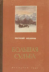 Обложка книги Большая судьба, Евгений Федоров