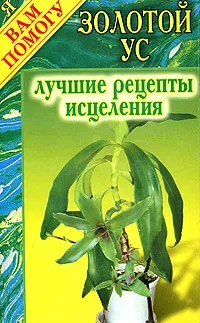 Обложка книги Золотой ус. Лучшие рецепты исцеления, Дарья Нестерова