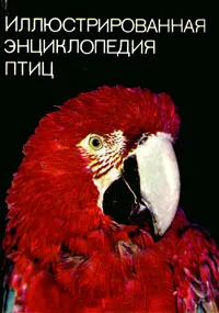 Обложка книги Иллюстрированная энциклопедия птиц, Ян Ганзак