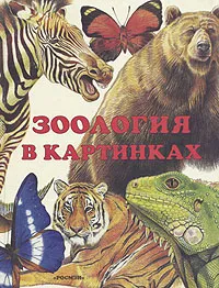 Обложка книги Зоология в картинках, А. С. Барков