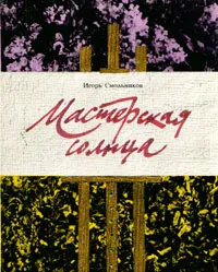 Обложка книги Мастерская солнца, Игорь Смольников