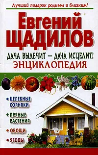 Обложка книги Дача вылечит-дача исцелит. Энциклопедия, Евгений Щадилов