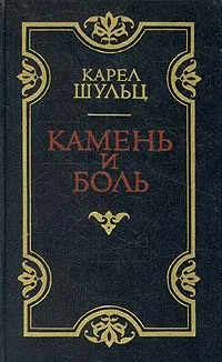 Обложка книги Камень и боль, Карел Шульц