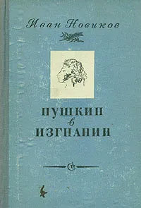 Обложка книги Пушкин в изгнании, Иван Новиков