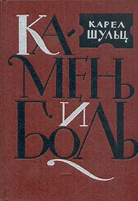 Обложка книги Камень и боль, Карел Шульц