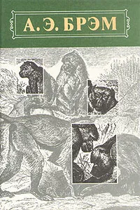 Обложка книги А. Э. Брэм. Жизнь животных. В трех томах. Том 1. Млекопитающие, Брем Альфред Эдмунд