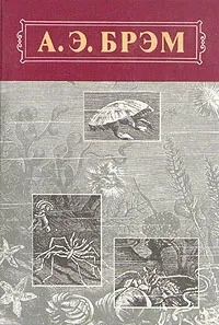 Обложка книги А. Э. Брэм. Жизнь животных. В трех томах. Том 3.  Пресмыкающиеся. Земноводные. Рыбы., Брем Альфред Эдмунд