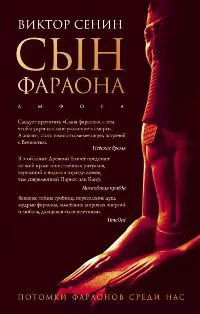 Обложка книги Сын фараона, Виктор Сенин