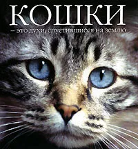 Обложка книги Кошки - это духи, спустившиеся на землю, Сергей Федин