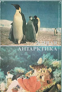 Обложка книги Живая Антарктика, С. Н. Рыбаков