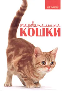 Обложка книги Очаровательные кошки, Карен Принс