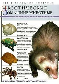 Обложка книги Экзотические домашние животные, 