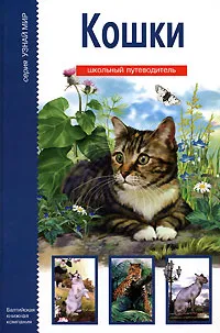 Обложка книги Кошки, С. Ю. Афонькин