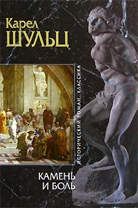 Обложка книги Камень и боль, Карел Шульц