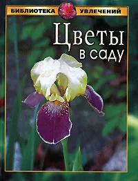 Обложка книги Цветы в саду, И. В. Катаева, А. О. Филипьечев